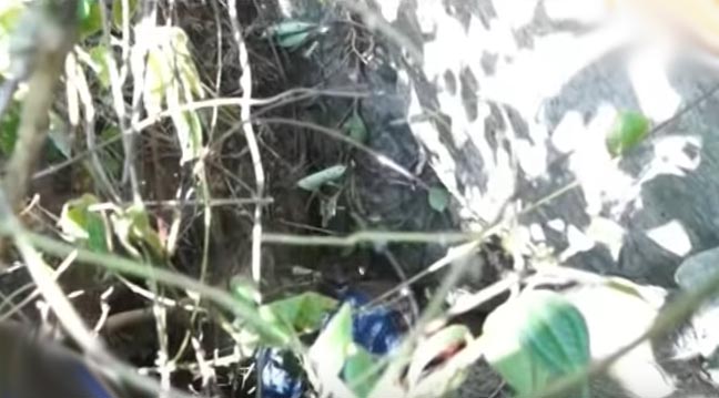 A Student Mysteriously Dies (1)