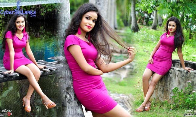 Dahami Amaya