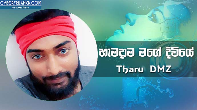 Hamadama Mage Diwiye Tharu DMZ