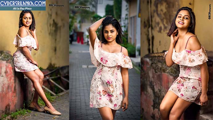 Vidnika New