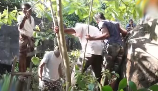 A Student Mysteriously Dies (3)