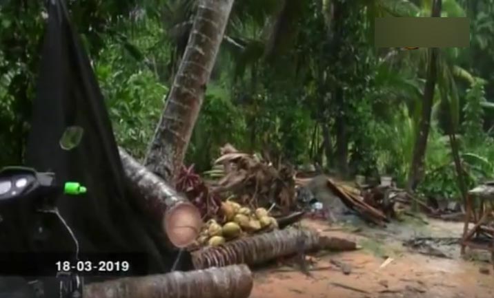 Akmeemana Tornado (4)