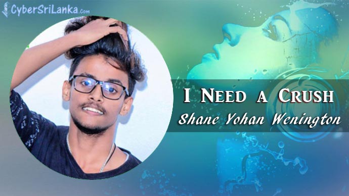 I Need a Crush Shane Yohan Wenington