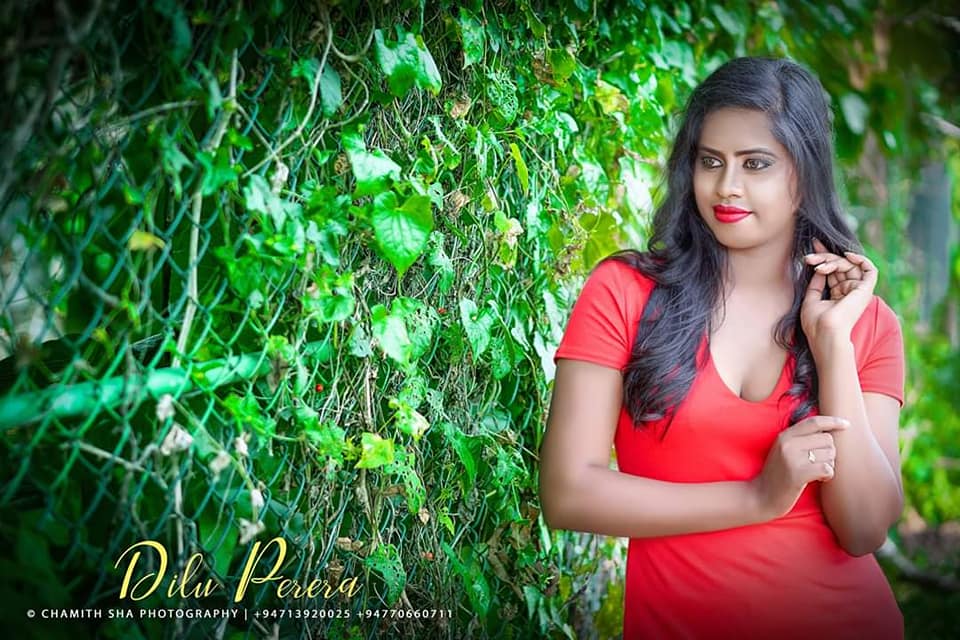 Dilu Perera (1)