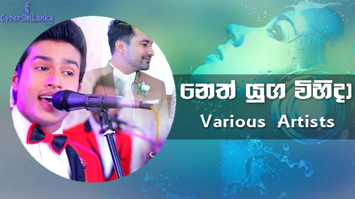 Nethu Yuga Vihida (Deweni Inima & Sangeethe Teledrama Crossover Songs) Various Artists
