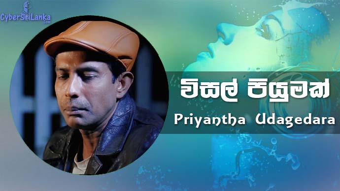Wisal Piumak Priyantha Udagedara
