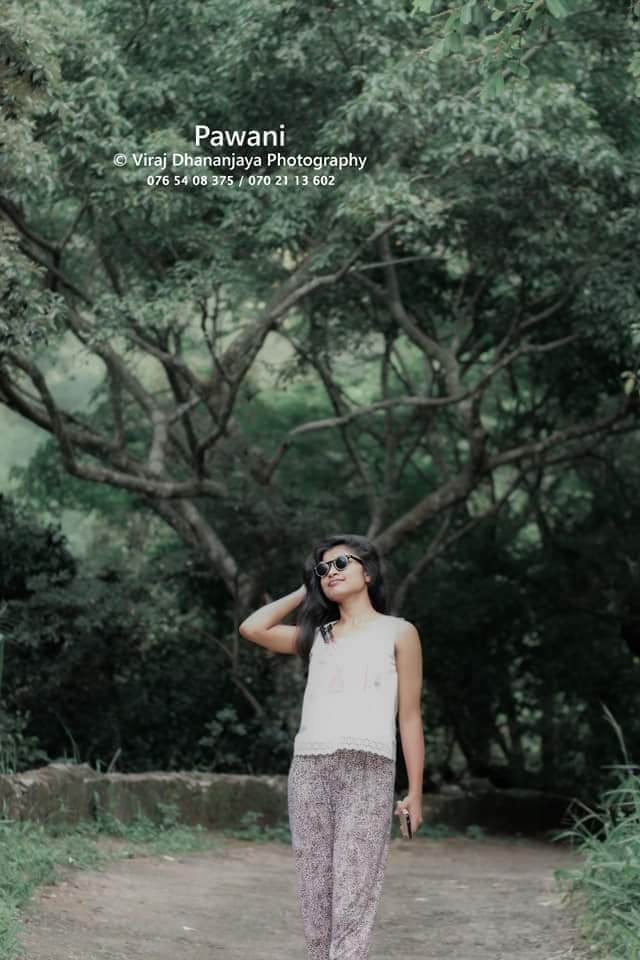 Pawani (3)