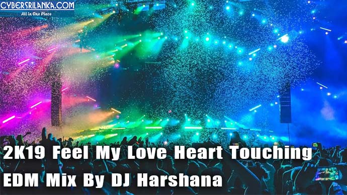 2K19 Feel My Love Heart Touching EDM Mix By DJ Harshana