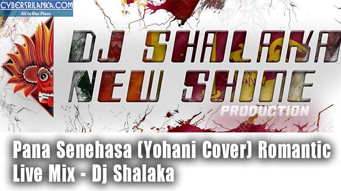 Pana Senehasa (Yohani Cover) Romantic Live Mix Dj Shalaka