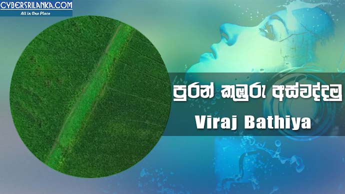 Puran Kuburu Aswaddamu Theme Song - Viraj Bathiya