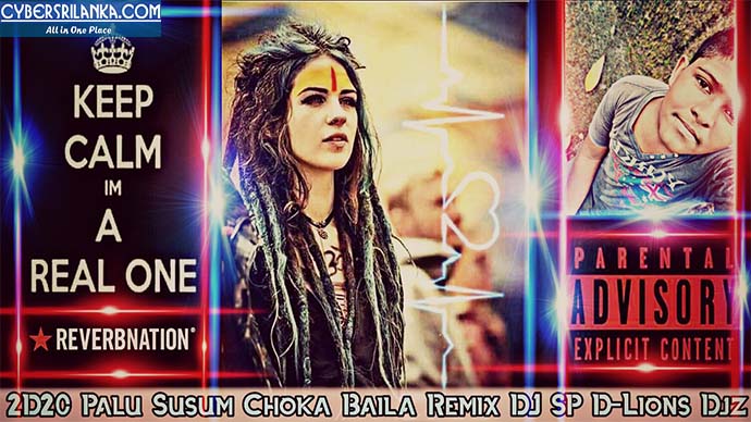 2D20 Palu Susum Choka Baila Remix - Dj SP