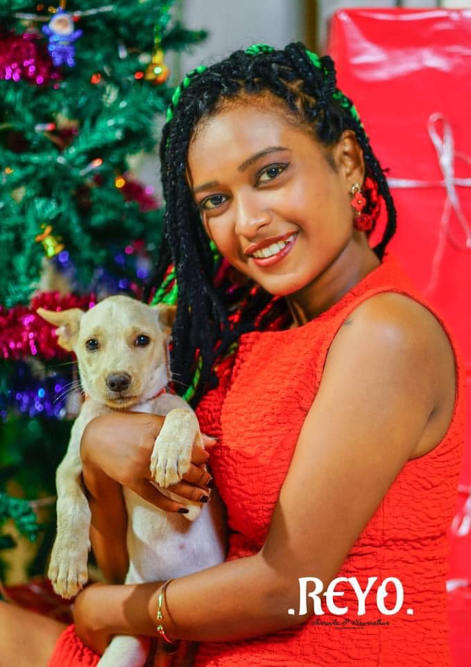 Reyo Nic Christmas (8)