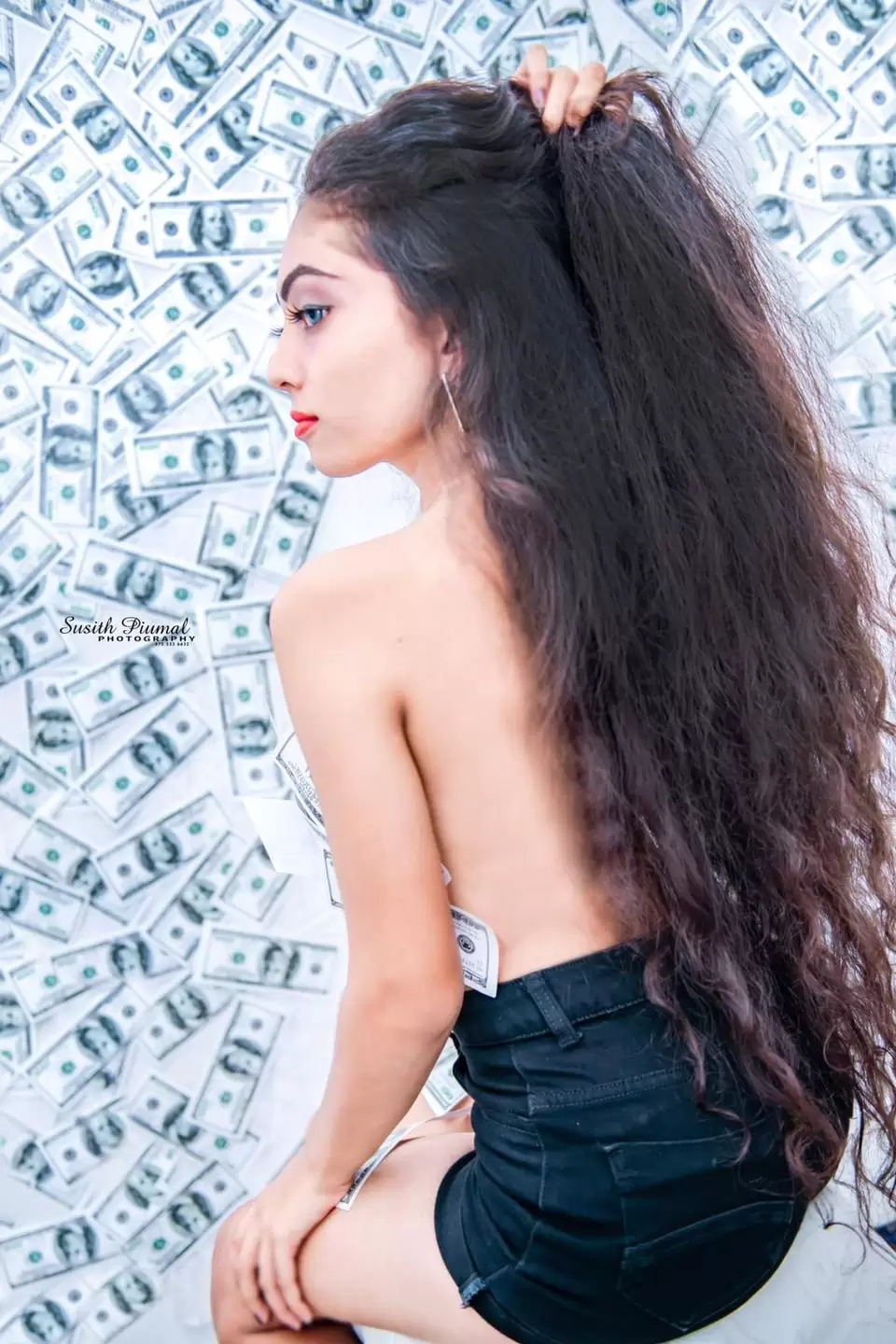 Dollars (11)